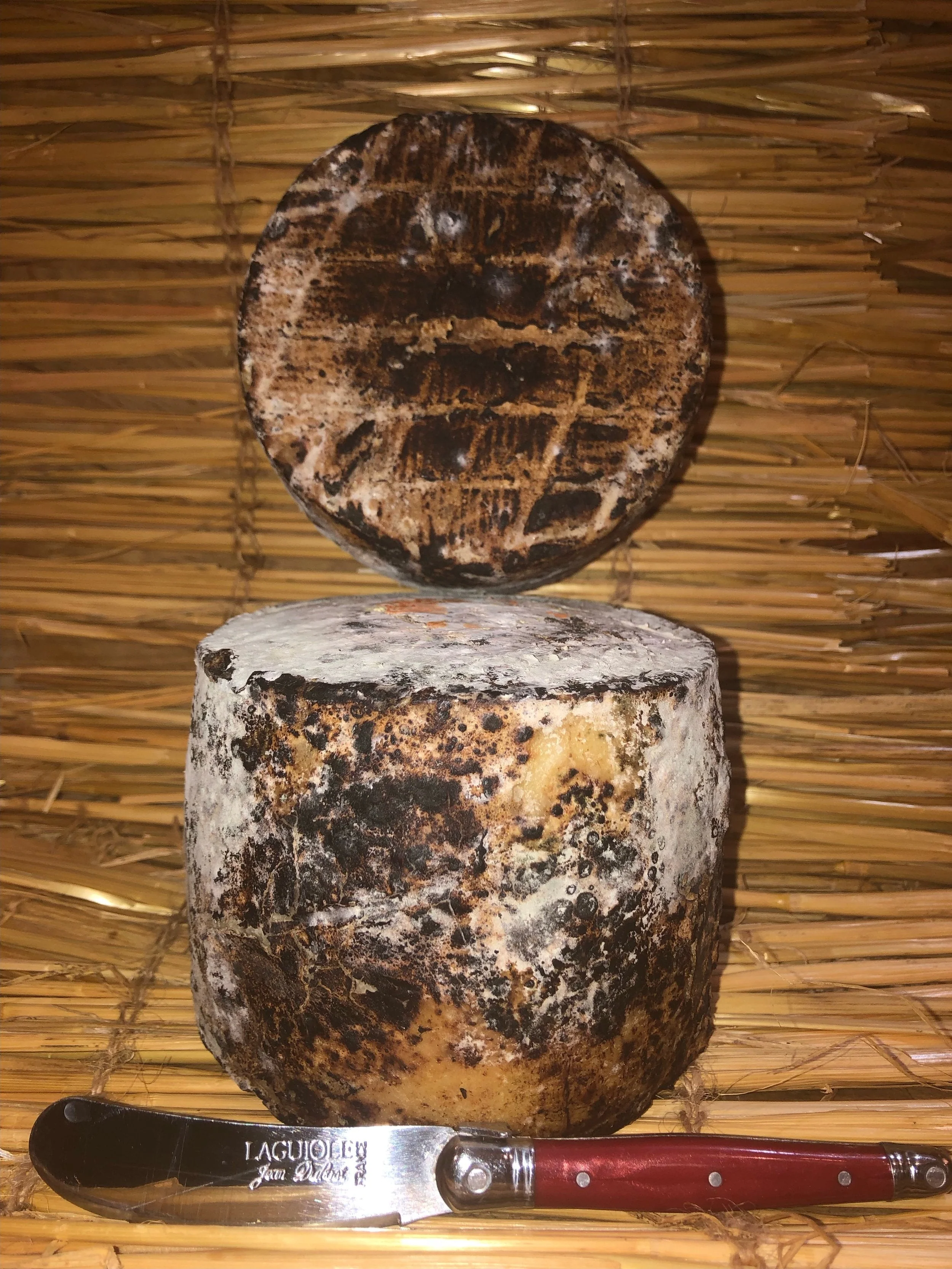 Tome Brulee - 1.5lb Wheel
